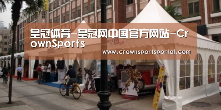 案例标题九