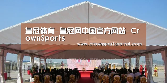 案例标题三