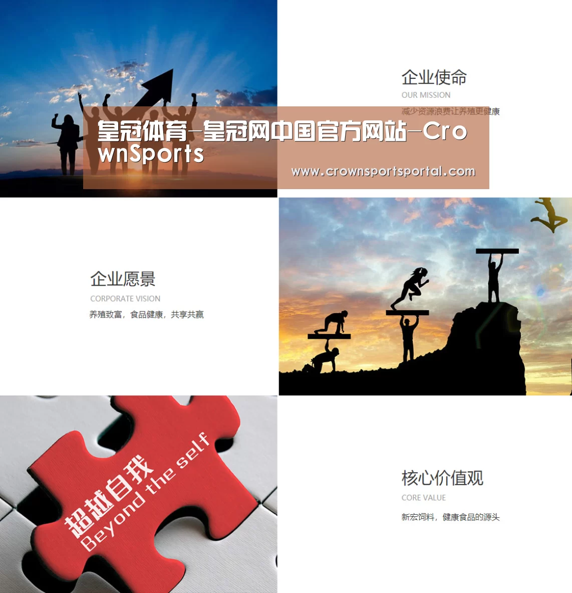 企业文化(图1)
